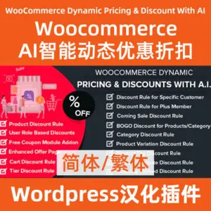 WooCommerce-Dynamic-Pricing-&-Discounts-with-AI下载