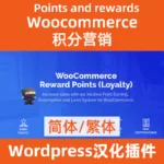 woocommerce points and rewards积分营销插件中文汉化