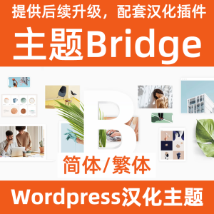 bridge 中文简体/繁体汉化下载